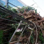 Edital de R$ 4 milhões contempla projetos de comunicação climática