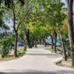 Justiça mantém multa ao Município de Maceió por descumprir acordo sobre publicidade das obras do PAS