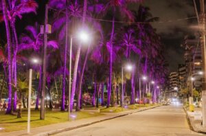 agosto lilás maceió alagoas