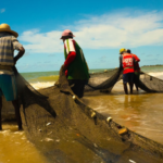 MPF busca garantir pesca tradicional nas praias de Barra de Santo Antônio