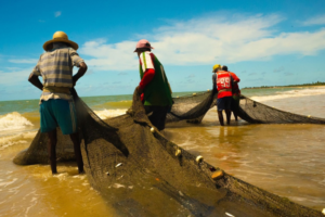 barra de santo antonio alagoas pesca