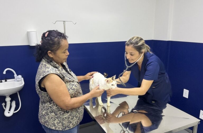 HC Pet leva mais saúde e dignidade aos pets de Maceió