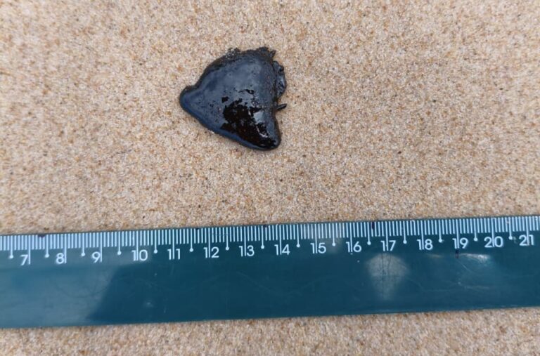 Manchas de óleo são encontradas no litoral de Maceió
