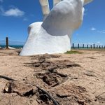 Ilumina Maceió registra furto de cabos de cobre na área da Mão de Deus