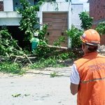 Defesa Civil de Maceió registra três ocorrências após ventos fortes no fim de semana